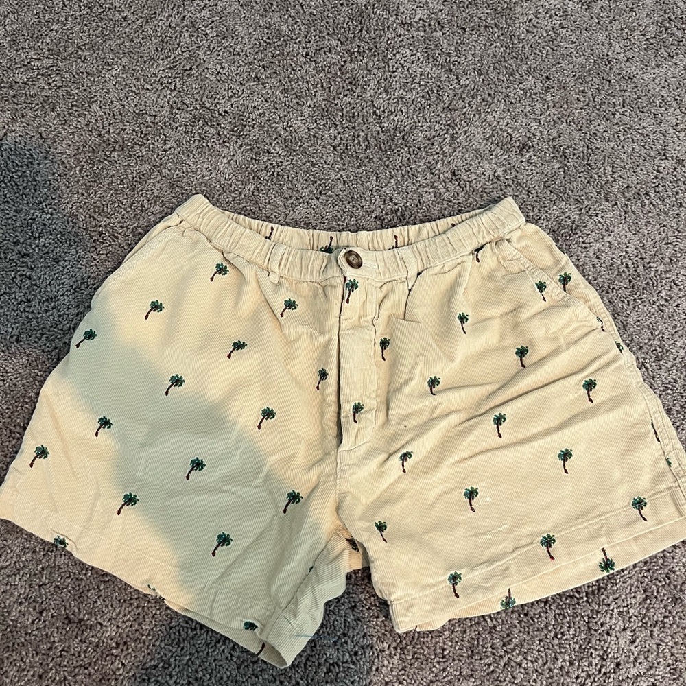 Chubbies Men’s Shorts